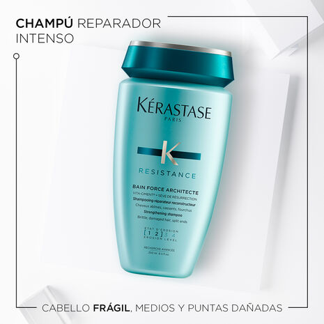 Shampoo Force Architecte